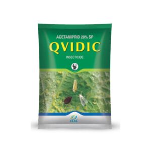 Qvidic  20 gm