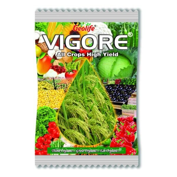 Vigore